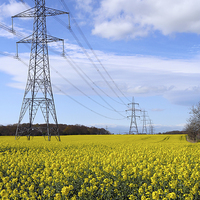 Buy canvas prints of Pylons in Rapeseed by John Atkins