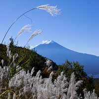 Buy canvas prints of Mount Fuji by Chris Gilloch