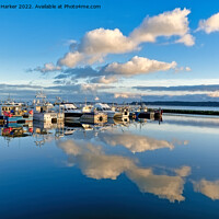 Buy canvas prints of Boats moored at Fishermans Dock in Poole, Dorset by Andrew Harker