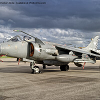 Buy canvas prints of BAe Sea Harrier F/A.2  by Andrew Harker