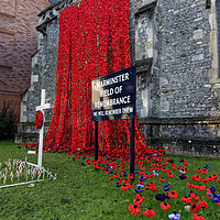 Buy canvas prints of Warminster Town Hand-Knitted Poppies by Andrew Harker