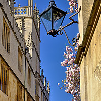 Buy canvas prints of Catte Street, Oxford, Oxfordshire, UK by Andrew Harker