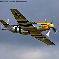 Buy canvas prints of North American P-51D Mustang 'Ferocious Frankie' by Andrew Harker