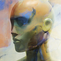 Buy canvas prints of Art Head by Harry Hadders