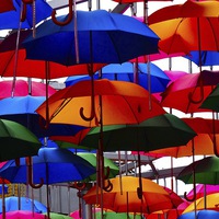 Buy canvas prints of  A shower of umbrellas  by sylvia scotting