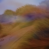 Buy canvas prints of  Coloured Grass by sylvia scotting