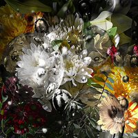 Buy canvas prints of Stunning Bouquet  by sylvia scotting