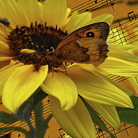 Buy canvas prints of The  Butterfly who loved music by sylvia scotting