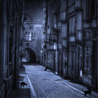 Buy canvas prints of Alley cats  by sylvia scotting
