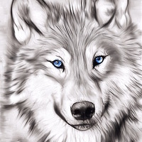 Buy canvas prints of  The Wolf by sylvia scotting