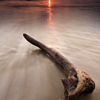 Buy canvas prints of Driftwood at sunset by David Stephens