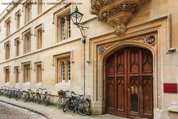 Pembroke College Bikes in Oxford Picture Board by Pearl Bucknall