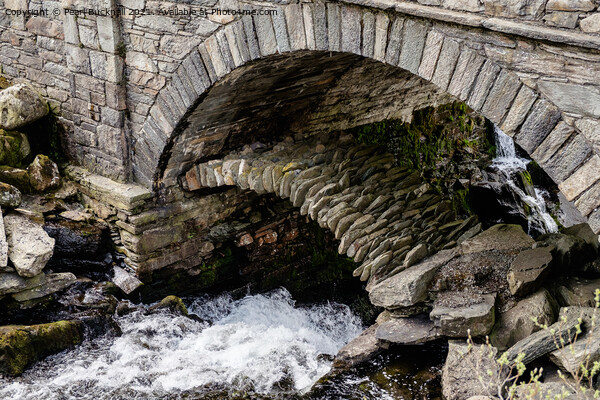Hidden Packhorse Bridge Snowdonia Wales Picture Board by Pearl Bucknall