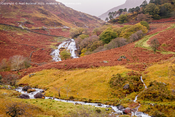 Watkin Path Route to Snowdon in Autumn Picture Board by Pearl Bucknall