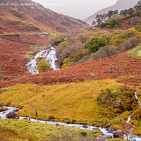 Buy canvas prints of Watkin Path Route to Snowdon in Autumn by Pearl Bucknall