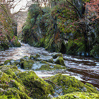 Buy canvas prints of Fairy Glen Gorge Snowdonia Wales by Pearl Bucknall