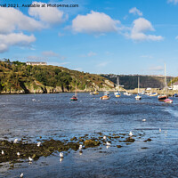 Buy canvas prints of Lower Fishguard Pembrokeshire Wales by Pearl Bucknall