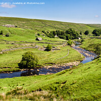 Buy canvas prints of  Upper Swaledale Countryside Yorkshire Dales by Pearl Bucknall