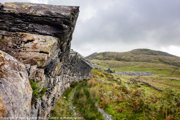 Overhanging Wall in Cwmystradllyn Snowdonia Picture Board by Pearl Bucknall