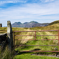 Buy canvas prints of Country Track in Snowdonia Wales by Pearl Bucknall