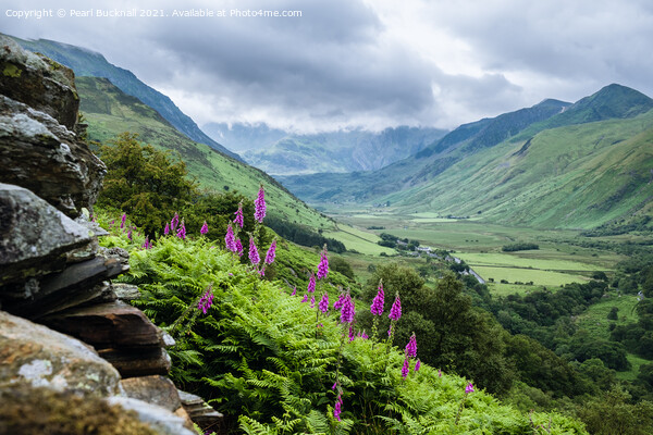 Nant Ffrancon Snowdonia Landscape Wales Picture Board by Pearl Bucknall