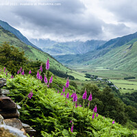 Buy canvas prints of Nant Ffrancon Snowdonia Landscape Wales by Pearl Bucknall