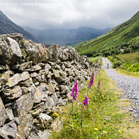Buy canvas prints of Country Lane Nant Ffrancon Snowdonia Wales by Pearl Bucknall