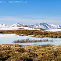 Buy canvas prints of Outdoor Arctic Tundra Landscape in Norway by Pearl Bucknall