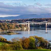 Buy canvas prints of Menai Strait and Suspension Bridge Anglesey Wales by Pearl Bucknall