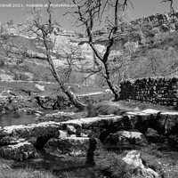 Buy canvas prints of Malham Cove Yorkshire Dales Black and White by Pearl Bucknall