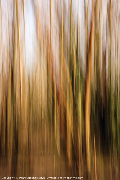Blurred Woodland Trees Abstract Picture Board by Pearl Bucknall