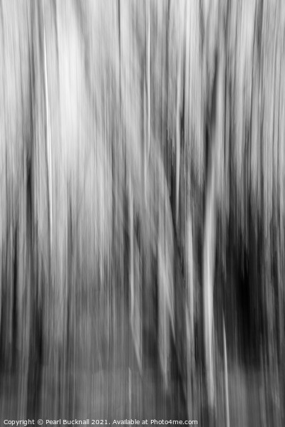 Blurred Tree Trunks Abstract Black and White Picture Board by Pearl Bucknall