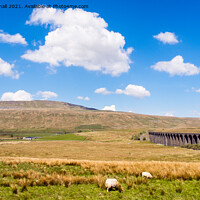 Buy canvas prints of Ribblehead Viaduct and Whernside Yorkshire Dales by Pearl Bucknall