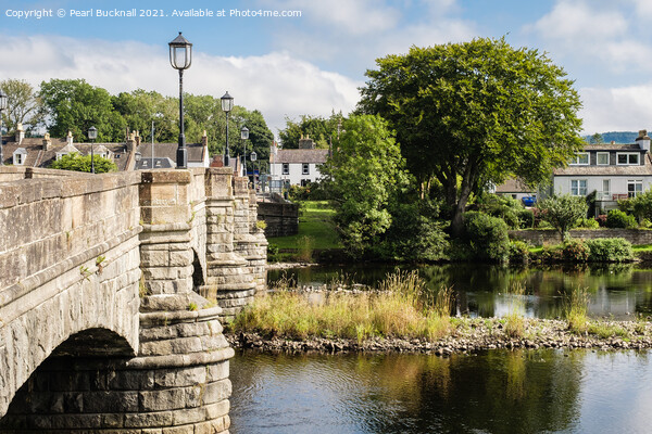 Newton Stewart Cree Bridge Dumfries and Galloway Picture Board by Pearl Bucknall