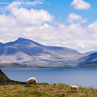 Buy canvas prints of Ben More across Loch Tuath Isle of Mull by Pearl Bucknall