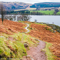 Buy canvas prints of Path Around Ullswater Lake District by Pearl Bucknall