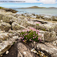 Buy canvas prints of Rocky Coast South Uist by Pearl Bucknall