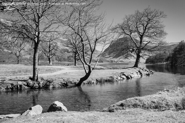 Buttermere Lake District Black and White Picture Board by Pearl Bucknall