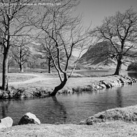 Buy canvas prints of Buttermere Lake District Black and White by Pearl Bucknall