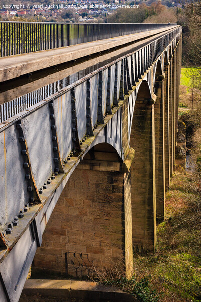Pontcysyllte Aqueduct Llangollen Wales Picture Board by Pearl Bucknall