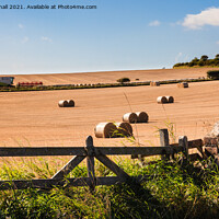 Buy canvas prints of Harvest Country Scene in the Countryside St Abbs by Pearl Bucknall
