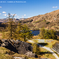 Buy canvas prints of Rydal Water Lake District by Pearl Bucknall