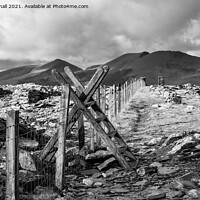 Buy canvas prints of Mountain Path in Snowdonia Wales Black and White by Pearl Bucknall