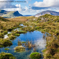 Buy canvas prints of Snowdonia Upland Landscape by Pearl Bucknall