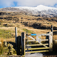 Buy canvas prints of Rhyd Ddu Path to Snowcapped Snowdon Snowdonia by Pearl Bucknall