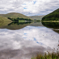 Buy canvas prints of Loch of the Lowes St Mary's Loch Scotland by Pearl Bucknall