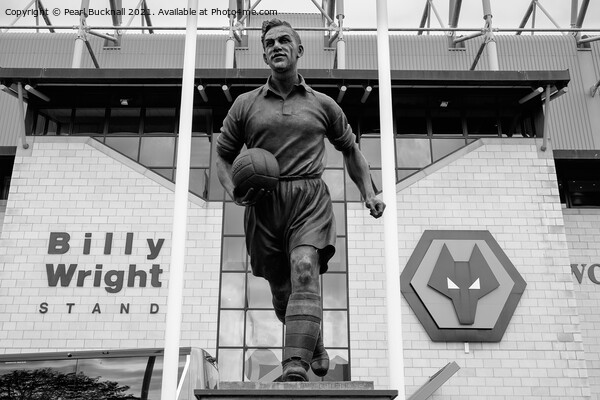 Molineux Stadium at Wolverhampton Wanderers Mono Picture Board by Pearl Bucknall