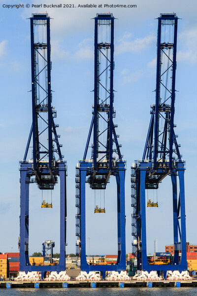 Port of Felixstowe Cranes Picture Board by Pearl Bucknall