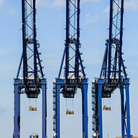 Buy canvas prints of Port of Felixstowe Cranes by Pearl Bucknall