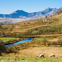 Buy canvas prints of Snowdon Horseshoe from Capel Curig in Snowdonia by Pearl Bucknall